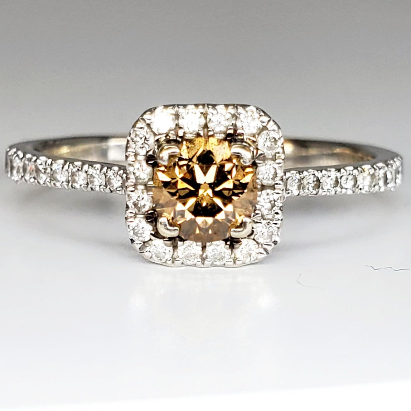 14k White Gold Levian Chocolate Diamond Halo Ring DEJ-24406