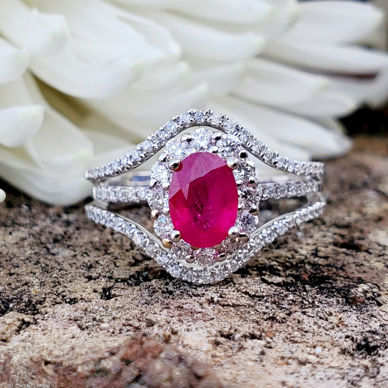 14 Karat White Gold Ruby &  Diamond Ring DCR-24707