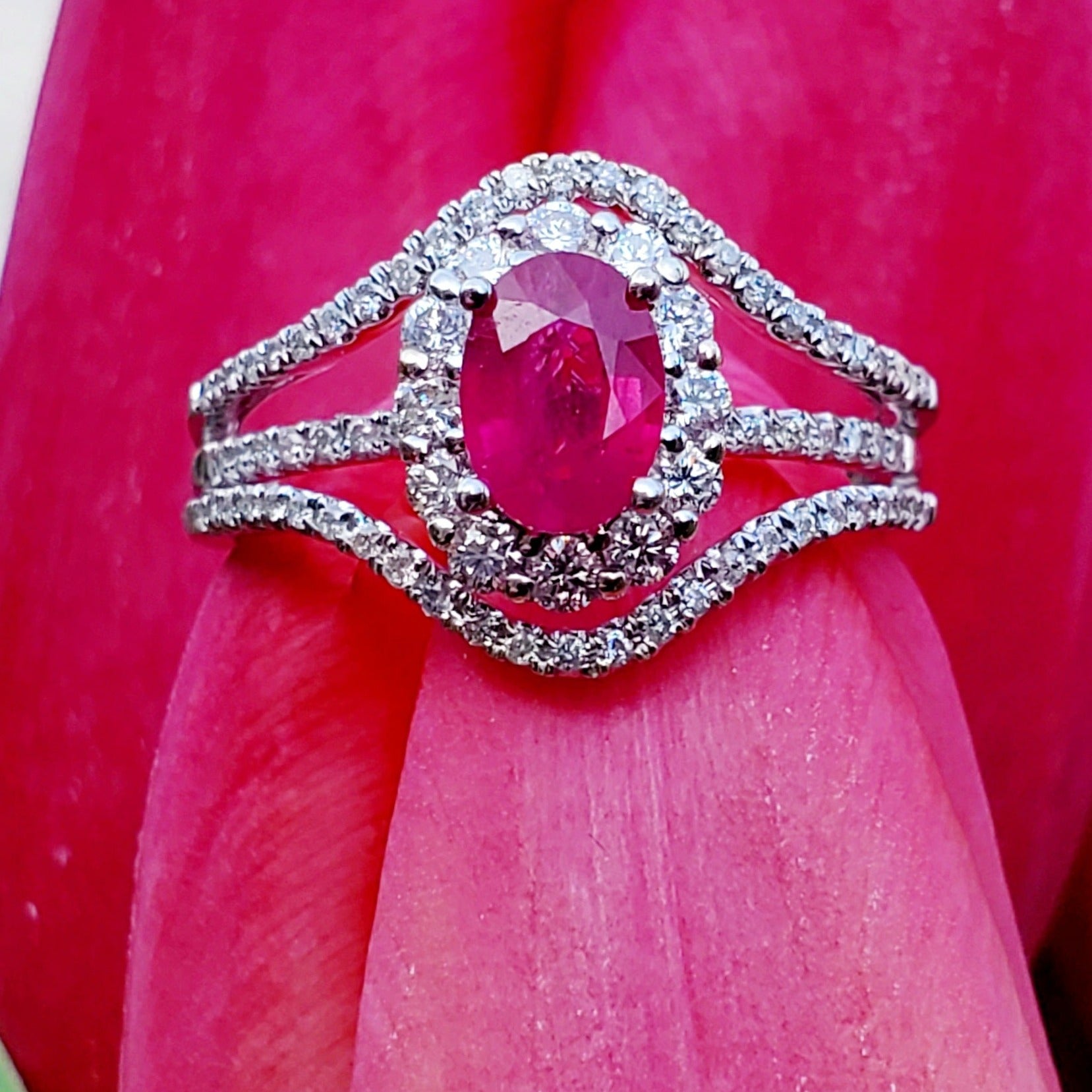 14 Karat White Gold Ruby &  Diamond Ring DCR-24707