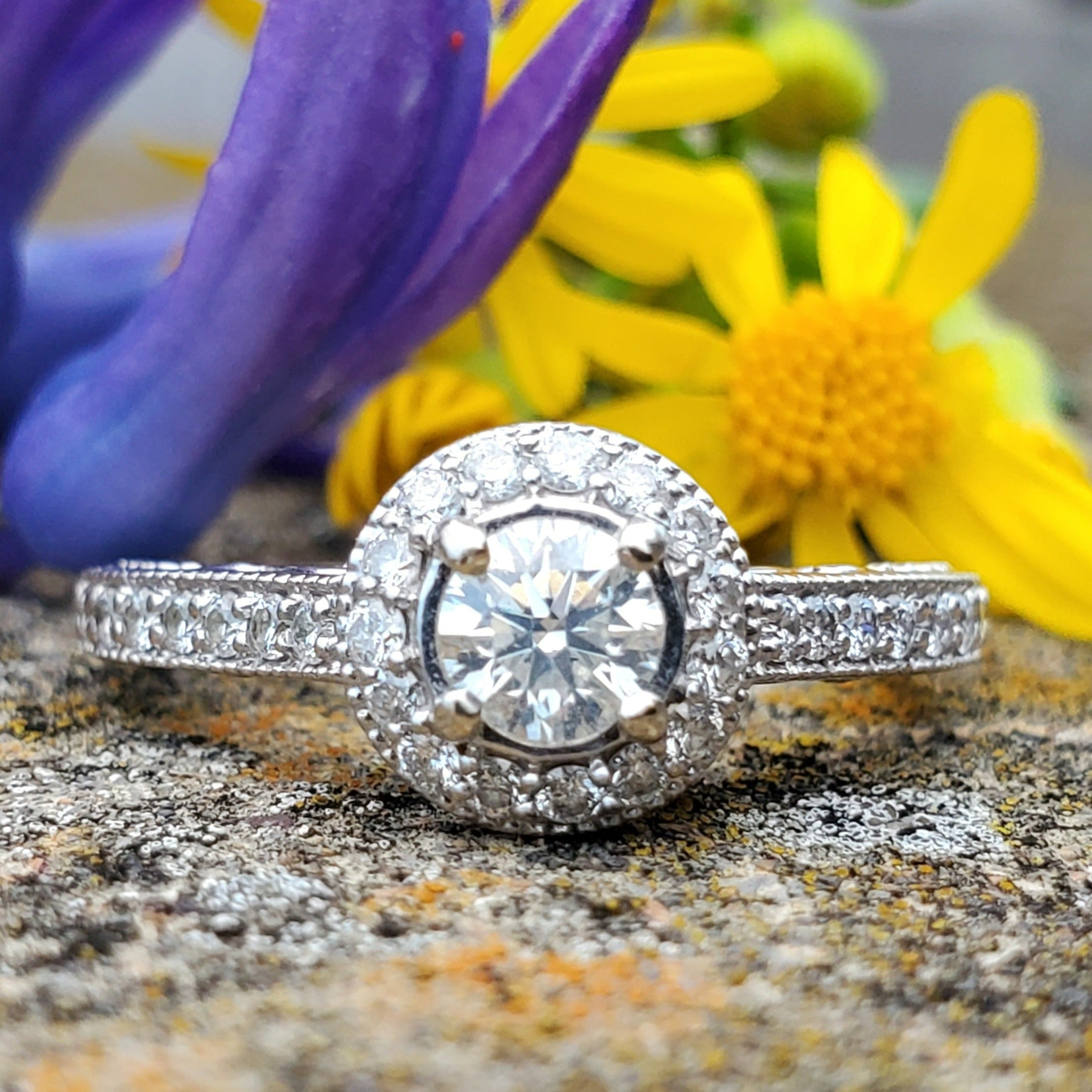 14k White Gold .50 CTW Round Cut Diamond Engagement Ring DSR-23672