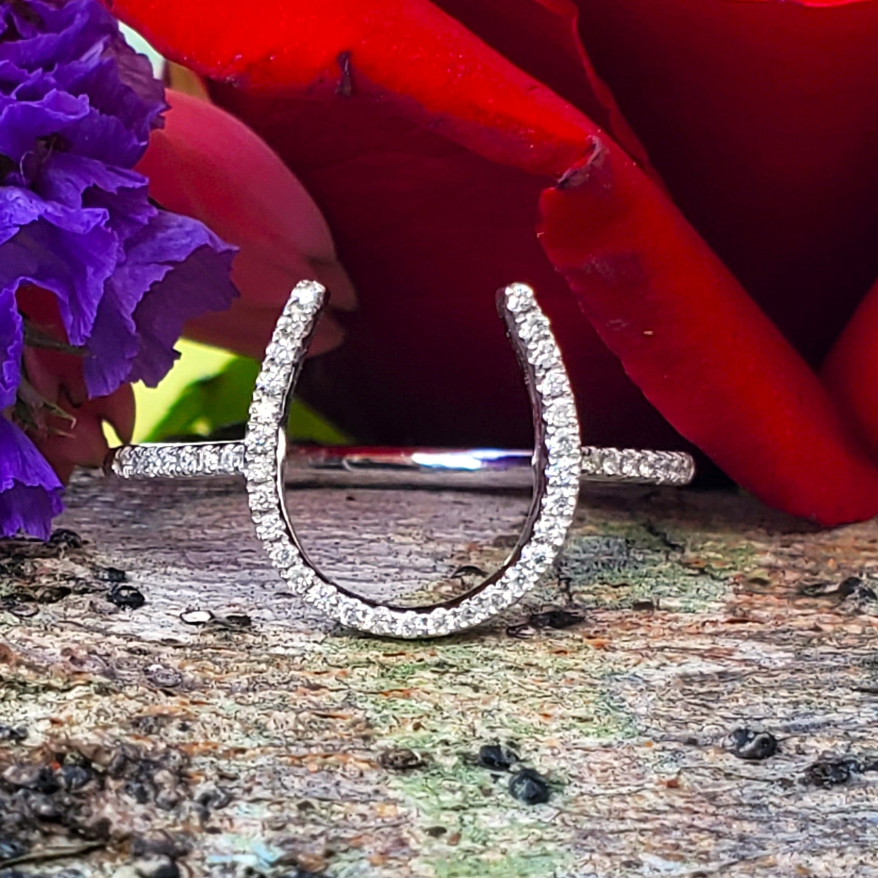14k White Gold Diamond Horse Shoe Ring  DFR-25980