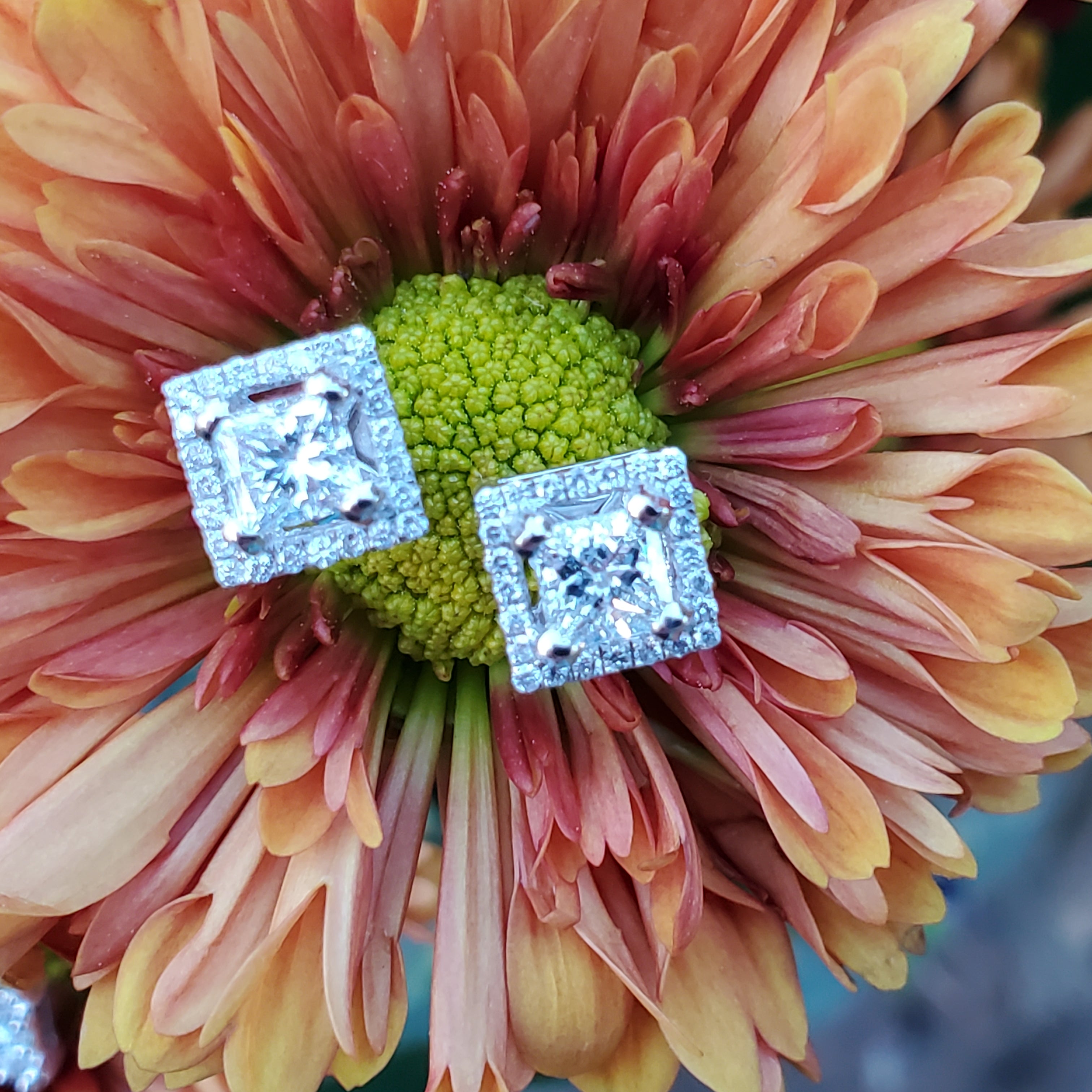 14k White Gold 1.13 CTW Diamond Princess Cut with Halo Stud Earrings DER-26042