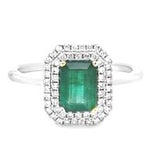 14k White Gold Emerald & Diamond Double Halo Ring DCR-24733