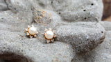 14k Yellow Gold Diamond Earrings Jackets DER-25869
