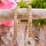 14k Yellow Gold 1.50 CTW Diamond Hoop Earrings   DER-25196