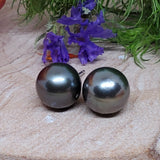 14k White Gold 9.5mm Tahitian Pearl Stud Earrings GER-23506