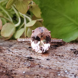 10k Rose Gold Oval Morganite Ring DCR-24529