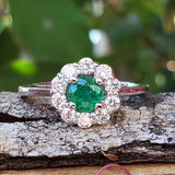 14k White Gold Diamond & Emerald Ring DCR-24719