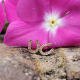 10k Yellow Gold Small Horse Shoe Earrings  DER-25974