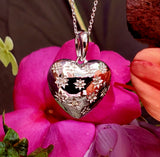 Sterling Silver Diamond Heart Star Pendant SDM-11328