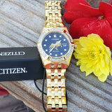 Citizen EcoDrive Ladies Diamond Walking Horse Watch WAT-7957