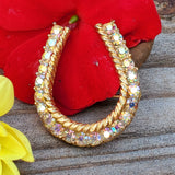 Vintage Rhinestone Rope Horse Shoe Brooch ZGF-05056
