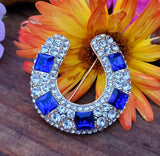 Yellow Tone Blue & White Stone Horseshoe Brooch ZGF-05061