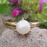 10K Yellow Gold Pearl Ring DEJ-24697