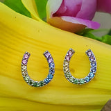 Sterling Silver Rainbow Crystal Horse Shoe Earrings   SSJ-12802