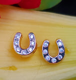 14k Horseshoe with CZ Children's Earrings  GER-23556