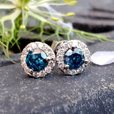 14k White Gold Blue Diamond Halo Stud Earrings - DER-26096