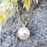 14k Yellow Gold Akoya Pearl Pendant GPD-19994