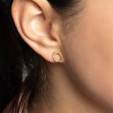 18K Gold PVD Stainless Steel Horse Shoe Stone Earring Gold Tone SSJ-13656