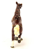 Brown Horse Trinket Box ZGT-6046